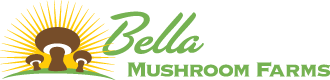 Bella-Logo