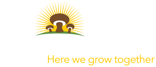 Buona Foods Logo